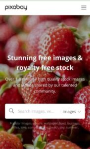 Free Royalty and Copyright Images Websites