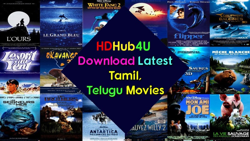 HDHub4u - download telugu movies