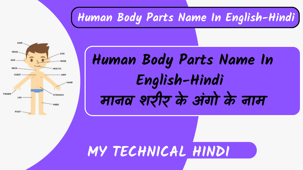 Human Body Parts Name In English-Hindi