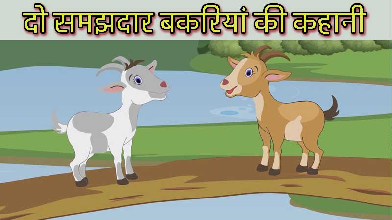 do samajhdar bakriyan- short story in hindi